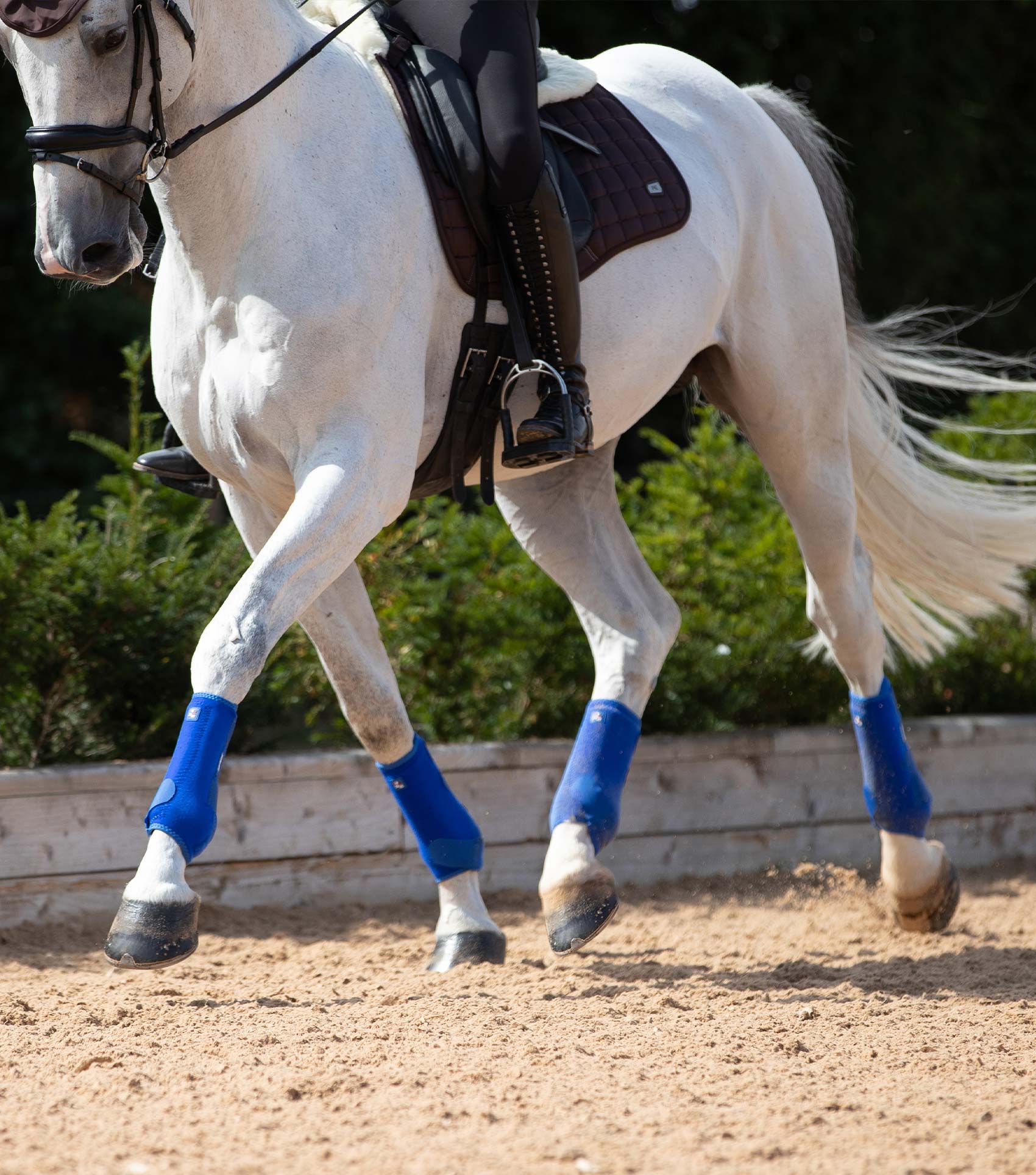 Air Tech Sports Medicine Boots Royal Blue Premier Equine Int. Ltd