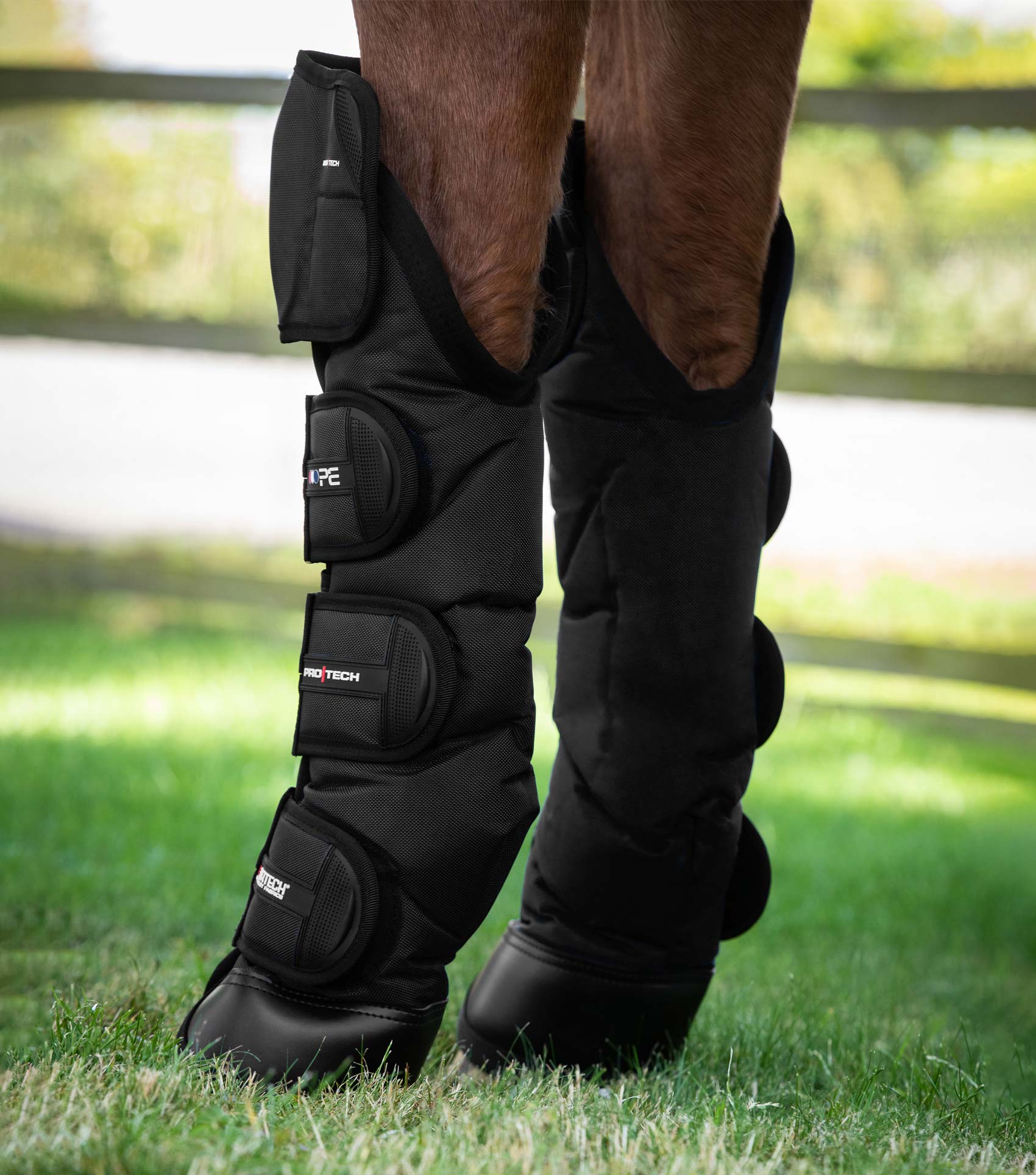 Ballistic Knee Pro Tech Horse Travel Boots Black