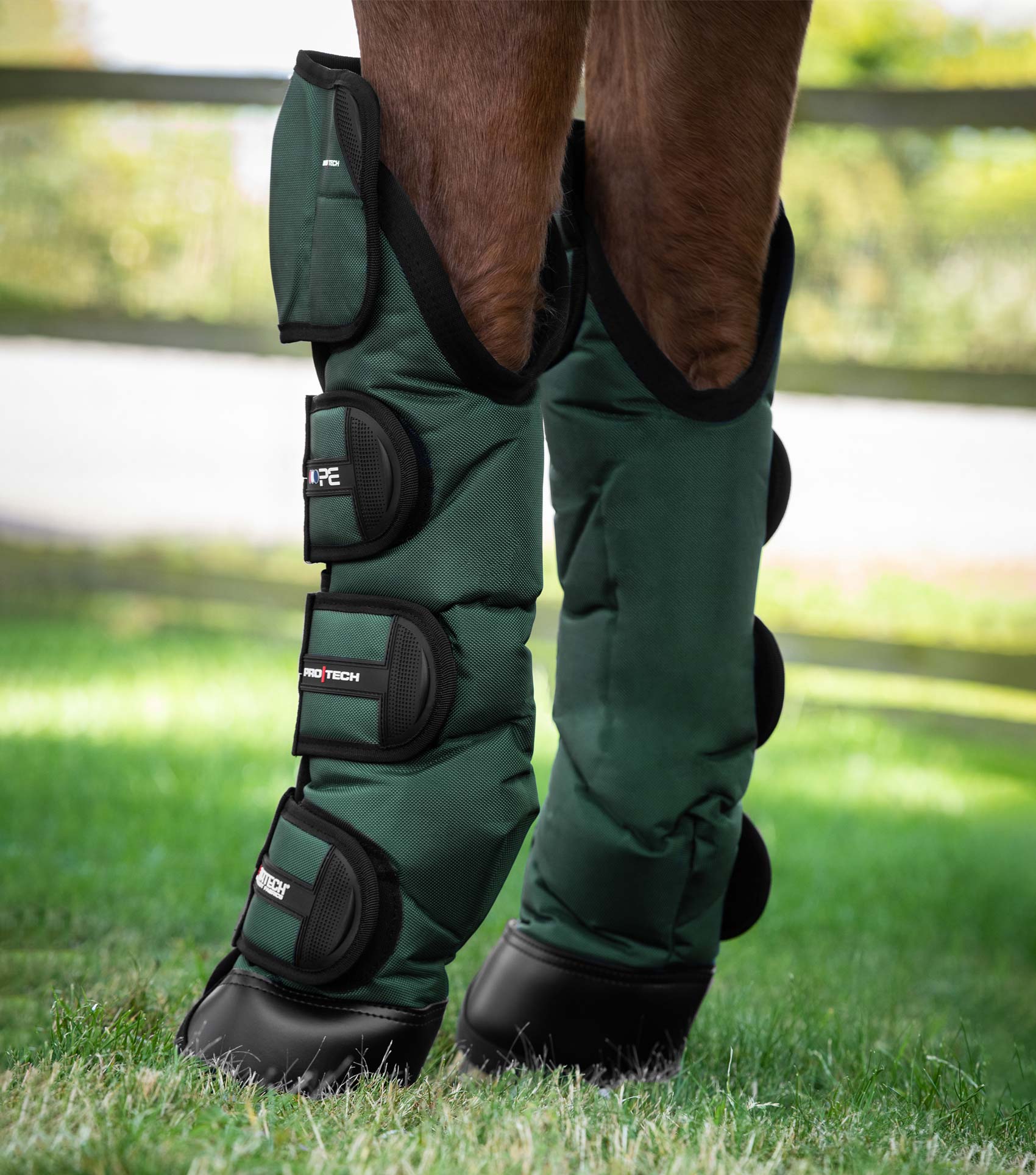 Professional horse boots best sale