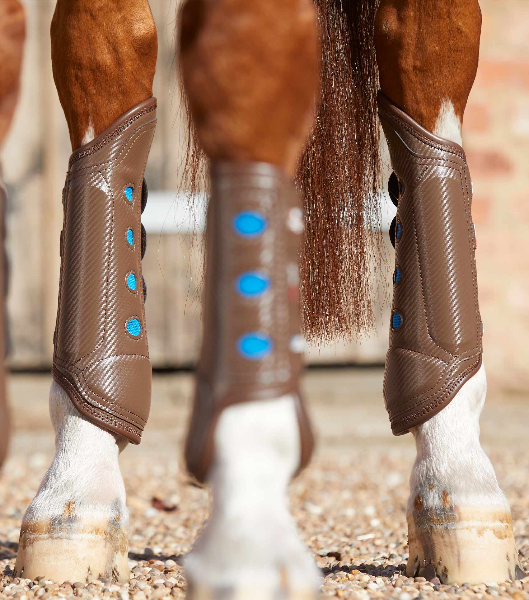 Carbon Tech Air Cooled Eventing Boots Brown Hind Premier Equine Int. Ltd