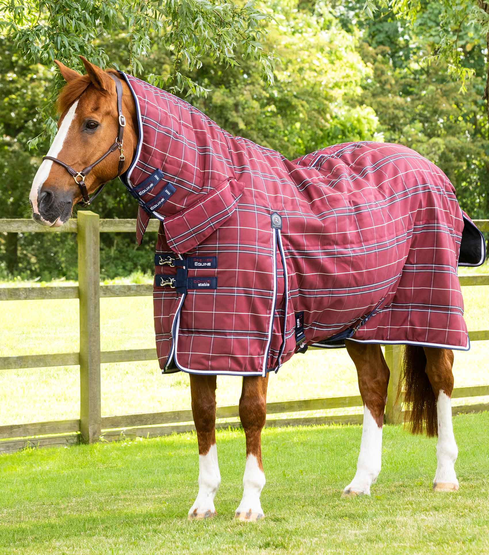 Premier store equine rugs