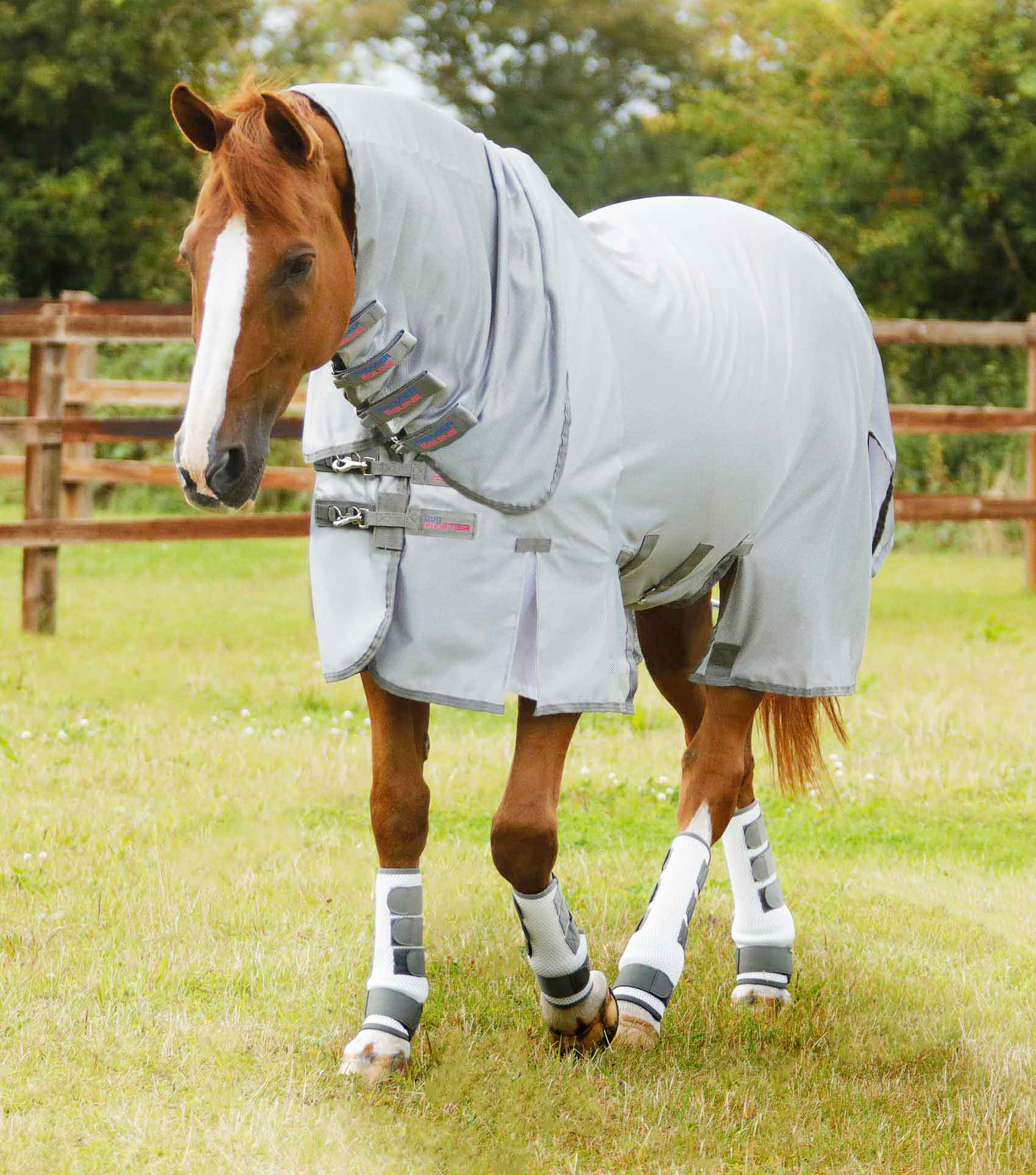 Buster Stay-Dry Super Lite Fly Rug with Surcingles – Horse By Horse