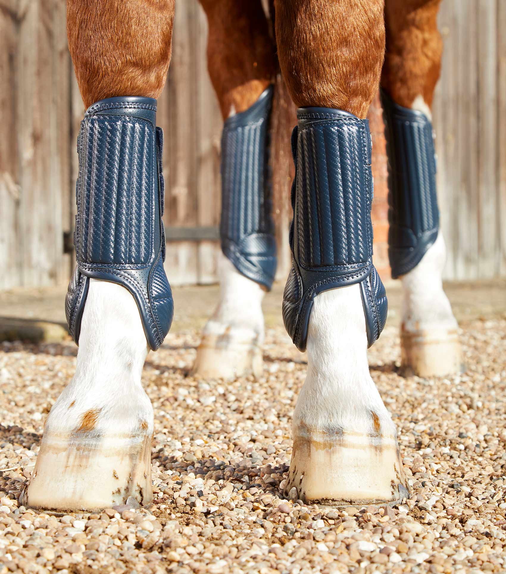 Blue shop horse boots