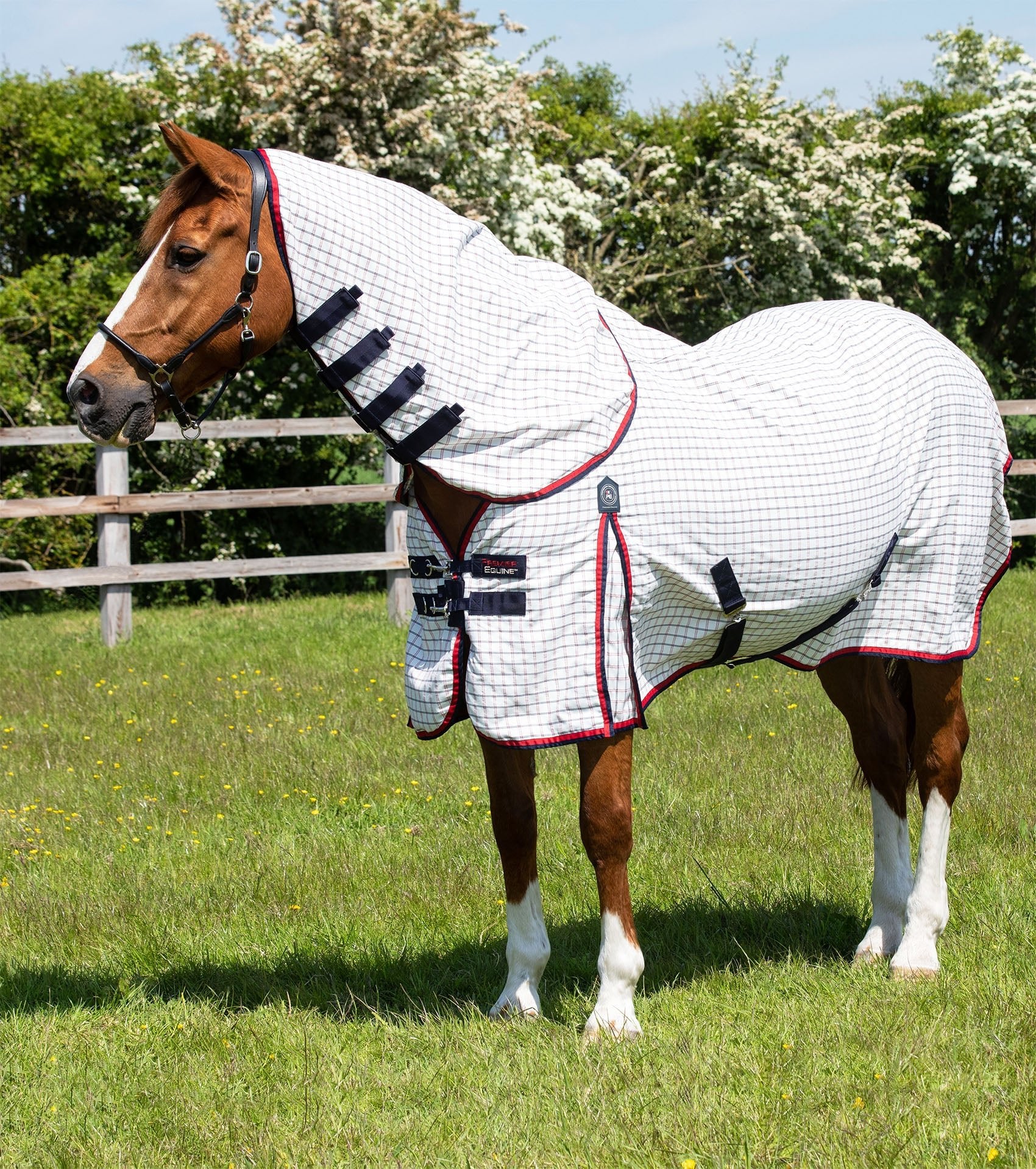 Fly sheets for deals horses