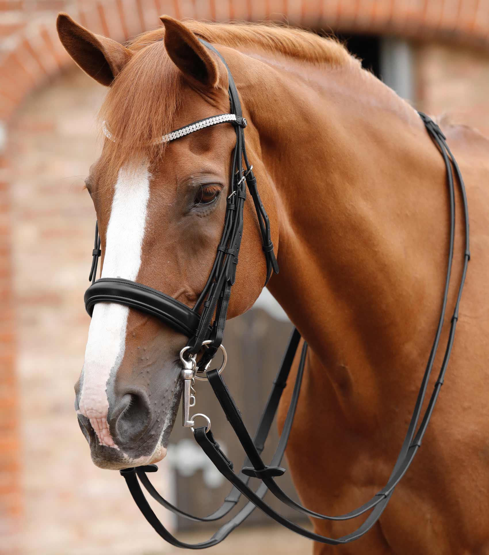 Royal Double Snaffle Leather Belts - Bridles & Reins