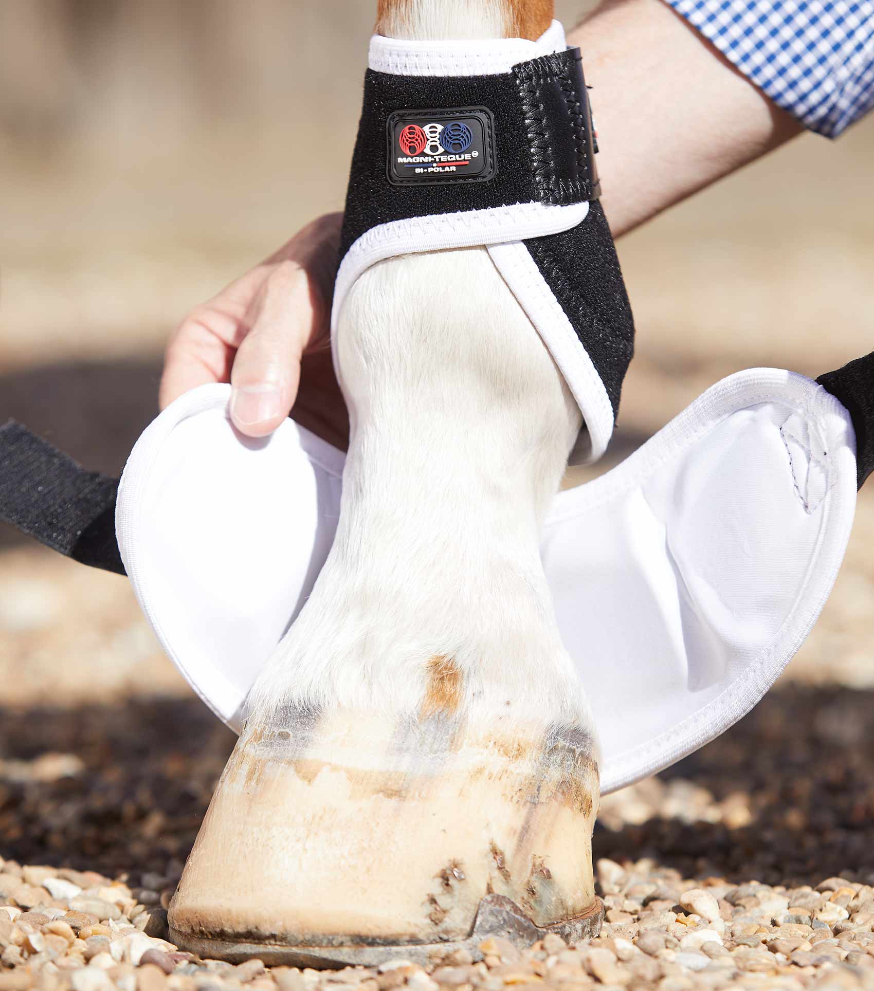 Equine magnetic shop therapy bell boots