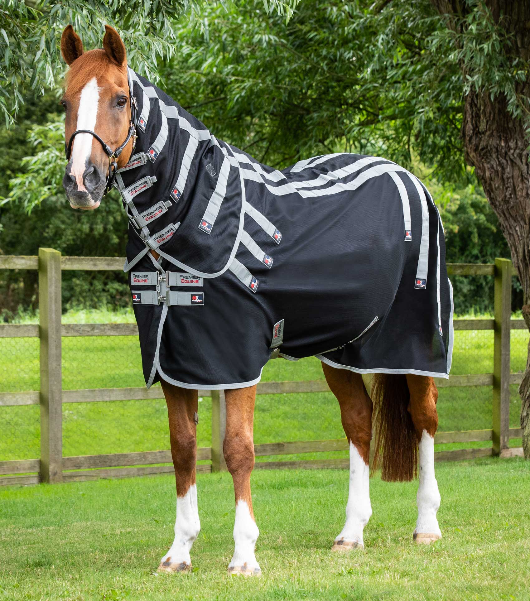 Magnetic Rug with Neck Cover – Premier Equine Int. Ltd.