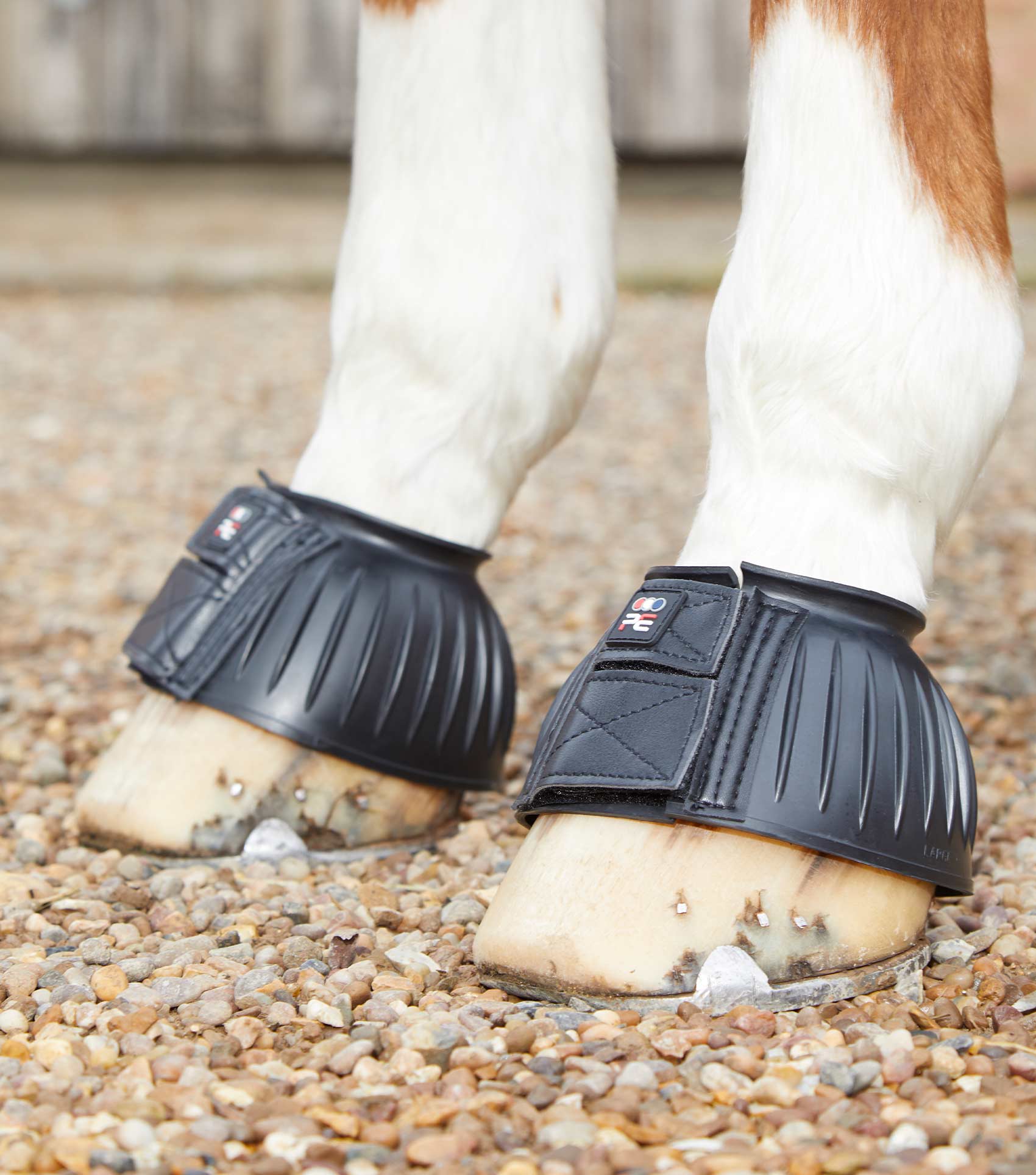 Rubber bell on sale boots for horses