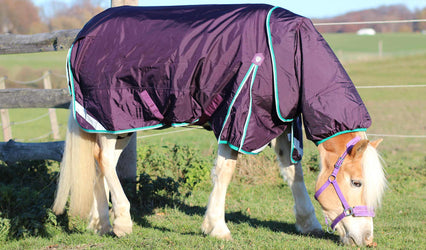 How to correctly rug your horse for winter 