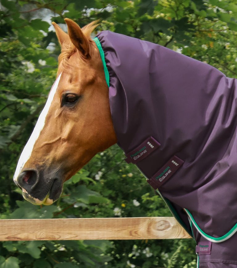 COPERTA 200GR PREMIERE EQUINE