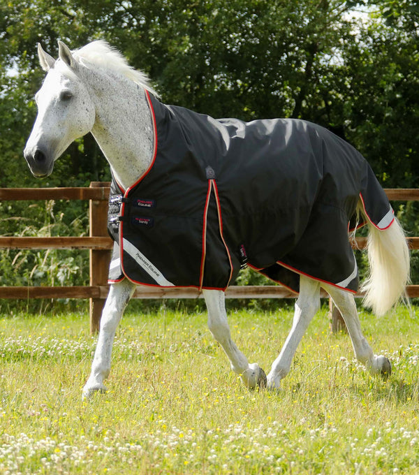 Buster Hardy 100g Half Neck Turnout Rug