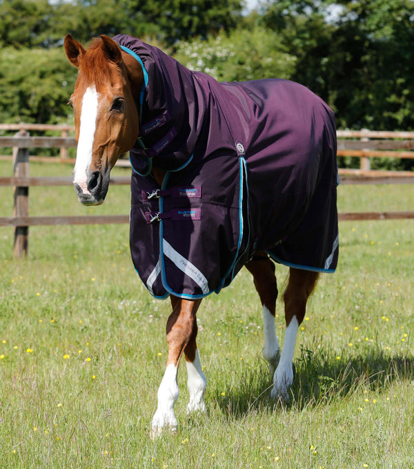 Buster Storm 100g Combo Turnout Rug with Snug-Fit Neck