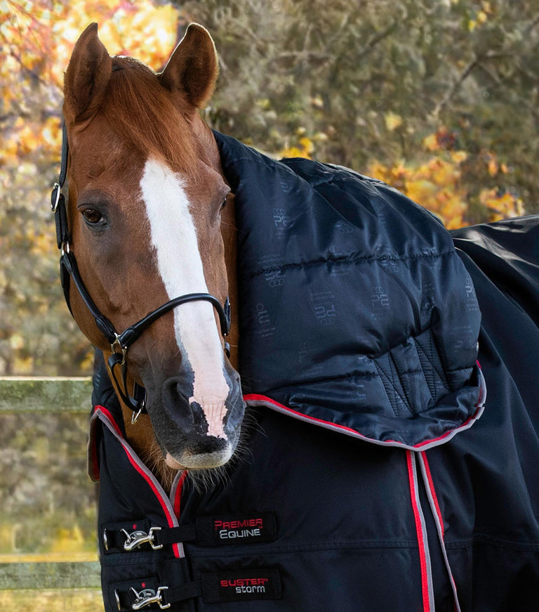Stainless Steel Horse Bits - Premier Equine International – Premier Equine  Int. Ltd.