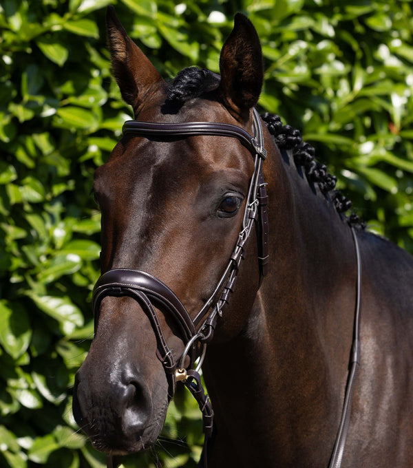 Cassano Bridle