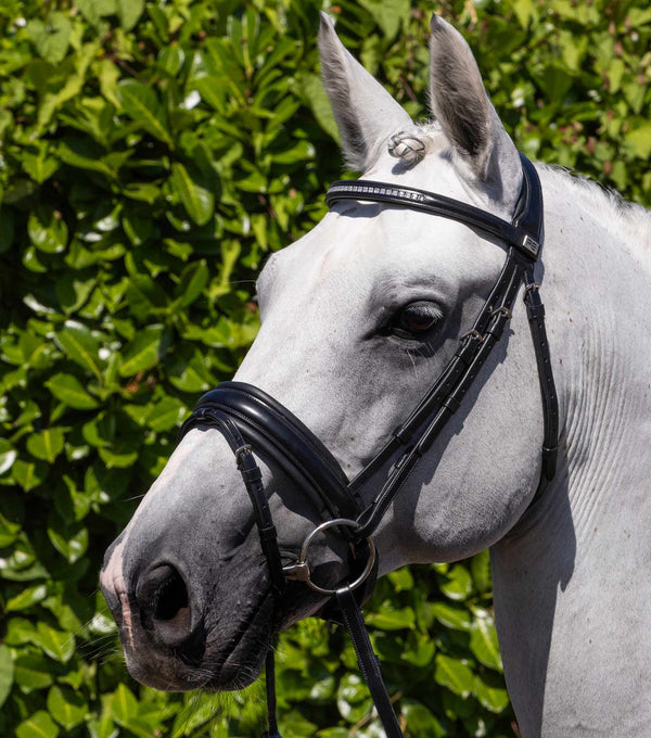 Castello Anatomical Bridle