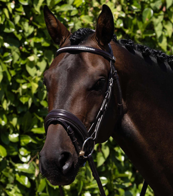 Castello Anatomical Bridle