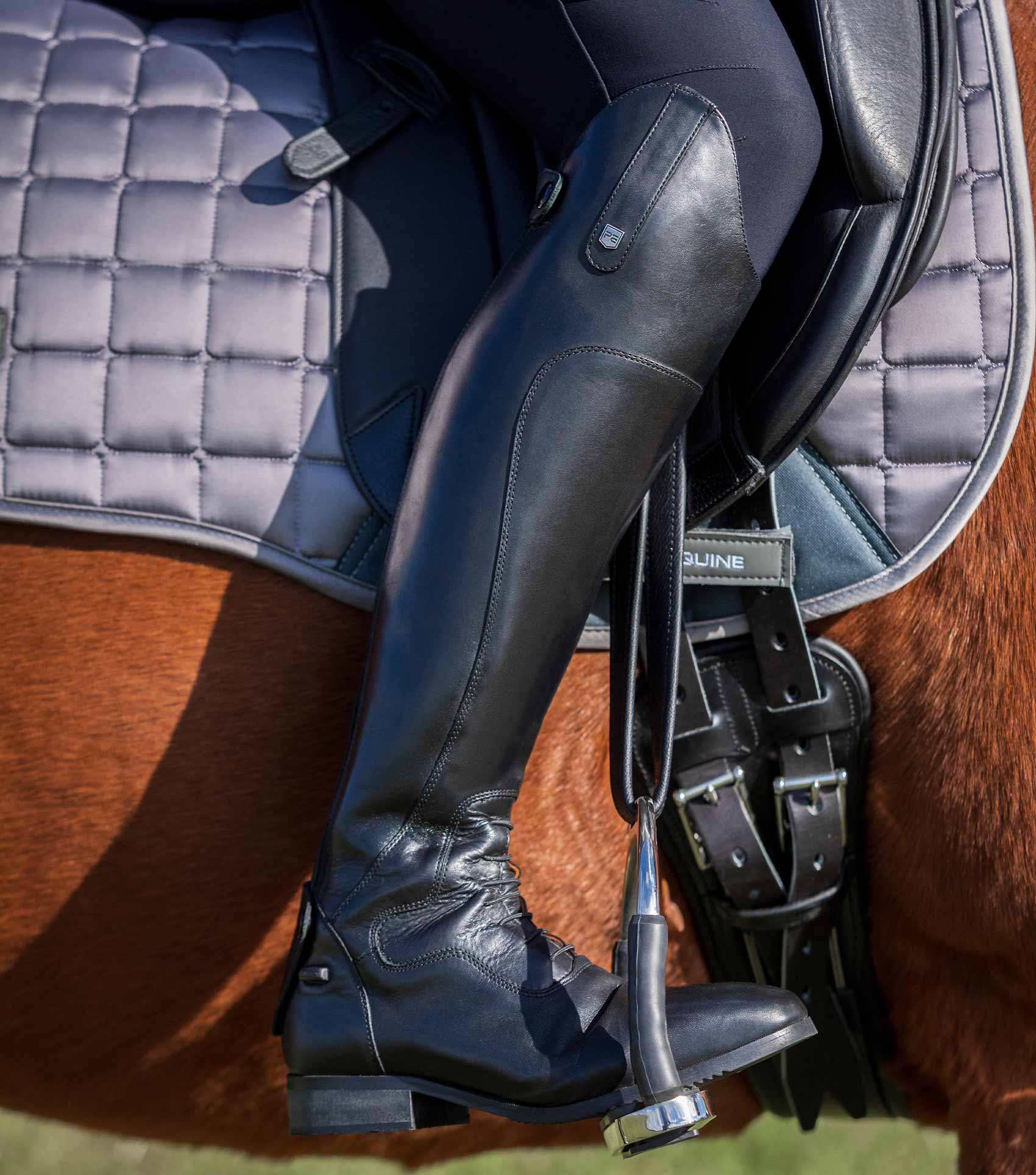 Dellucci Ladies Long Leather Field Riding Boot - Black – Premier Equine ...