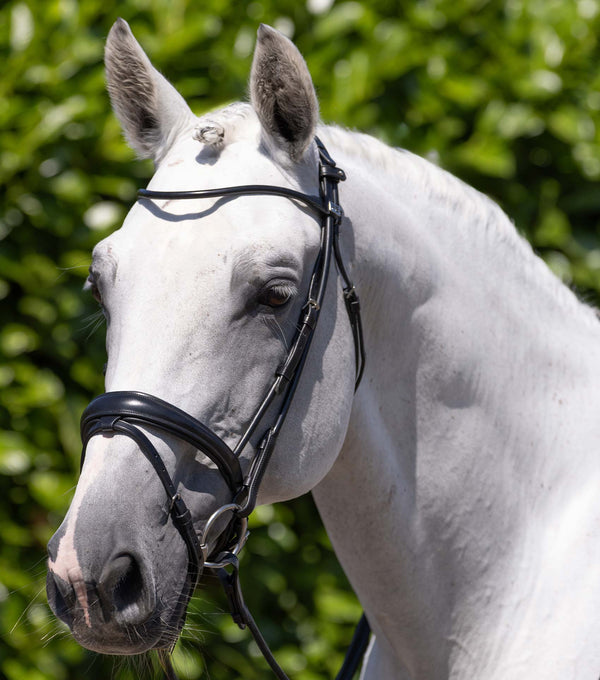 Finetti Leather Snaffle Bridle