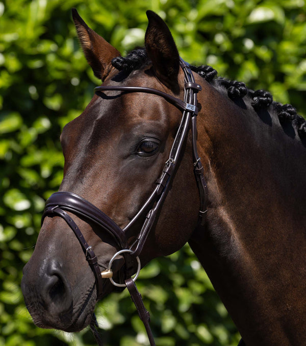 Finetti Leather Snaffle Bridle