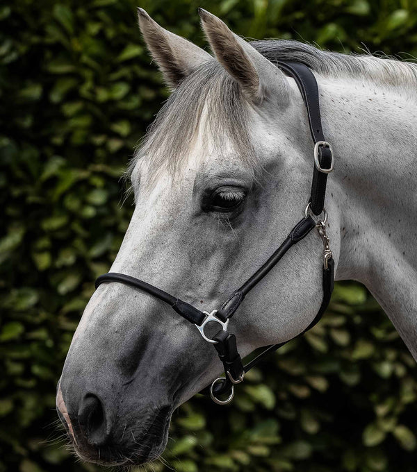 Hennaroso Rolled Anatomic Leather Head Collar