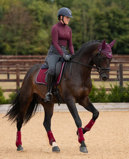 Stainless Steel Horse Bits - Premier Equine International – Premier Equine  Int. Ltd.