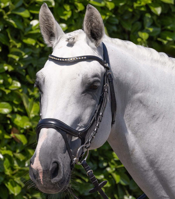 Palazzo Snaffle Bridle Bridle