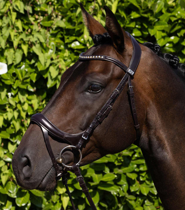 Palazzo Snaffle Bridle Bridle