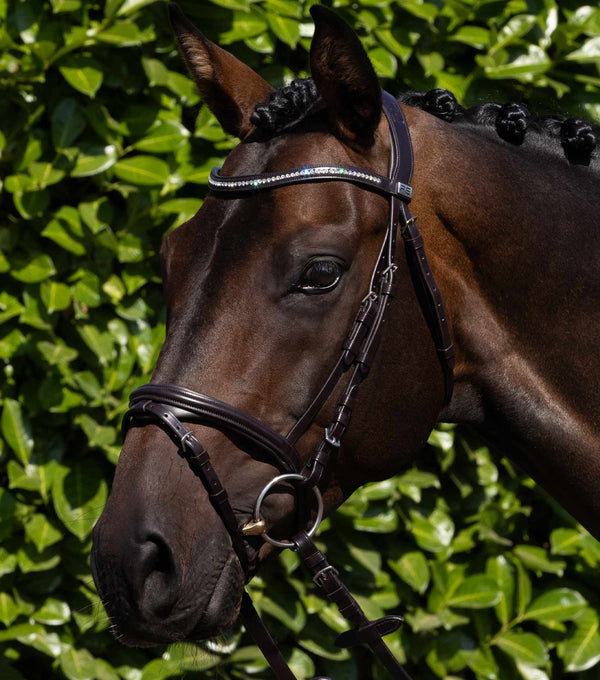 Rivere Snaffle Bridle