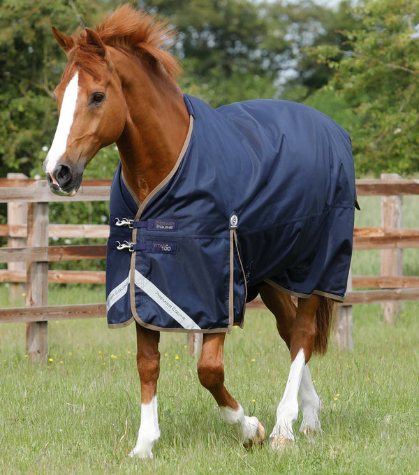 MARKED - Titan 100g Original Turnout Rug