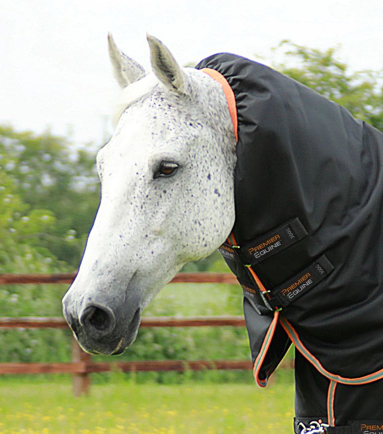 Titan 300g Turnout Rug with Snug-Fit Neck Cover – Premier Equine