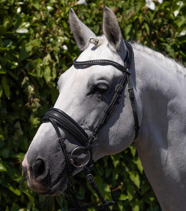 Veneto Anatmoical Snaffle Bridle