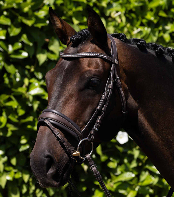 Veneto Anatmoical Snaffle Bridle