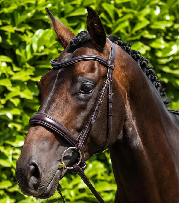 MARKED - Verdura Anatomic Snaffle Bridle