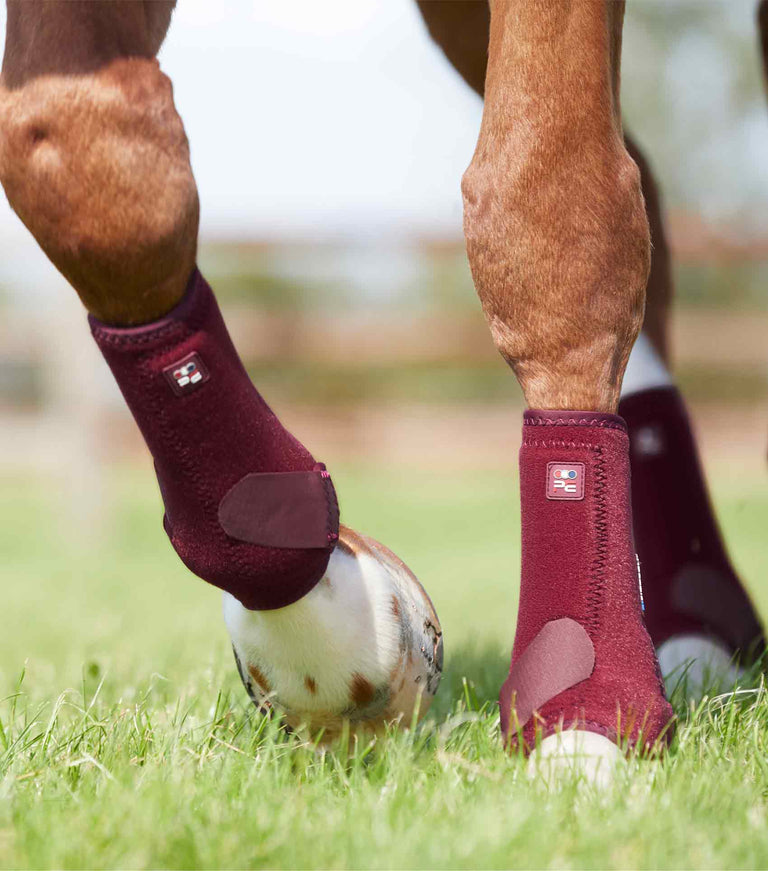 Maroon horse boots hotsell