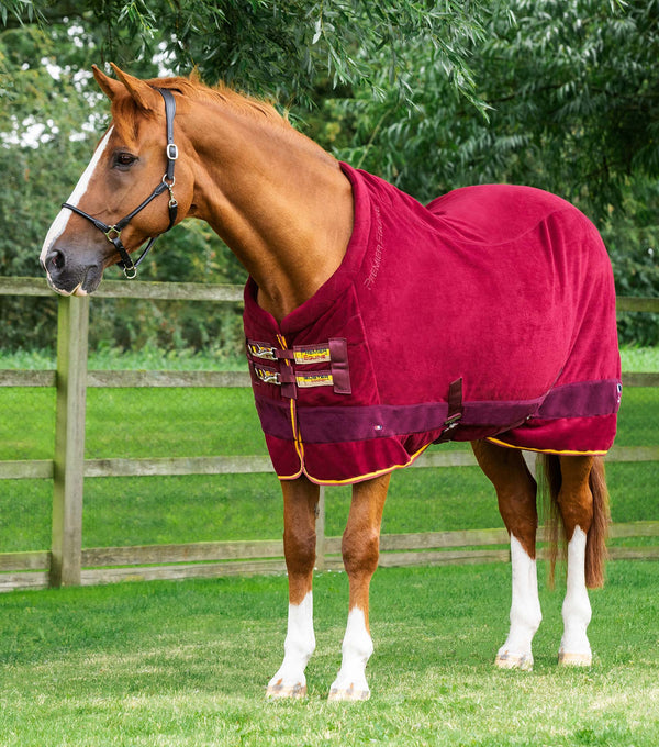 Buster Fleece Cooler Rug - Continental Edition