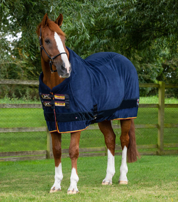 Buster Fleece Cooler Rug - Continental Edition