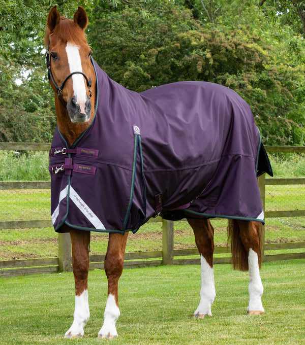 Buster Hardy 100g Half Neck Turnout Rug