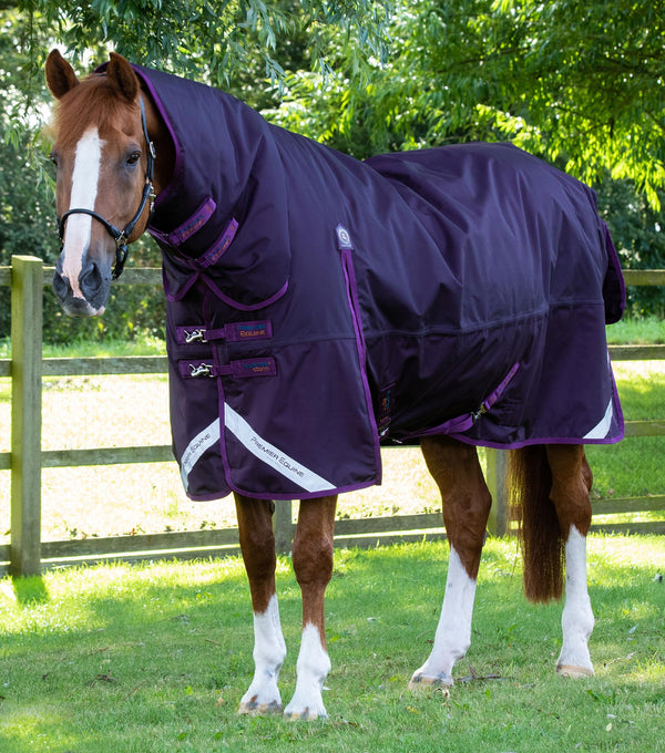 EX DISPLAY - Buster Storm 420g Combo Turnout Rug with Classic Neck