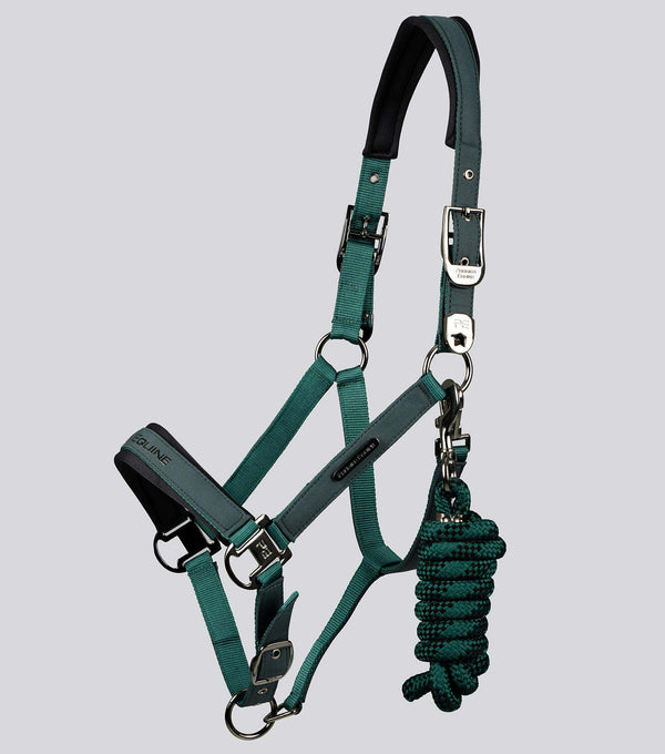 Duco Padded Head Collar with Lead Rope Green