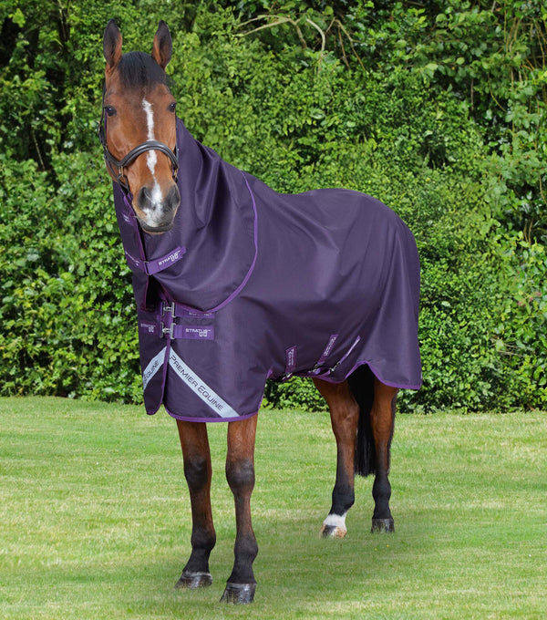 Stratus 600D Series 0g Turnout Rug with Classic Neck Cover Purple