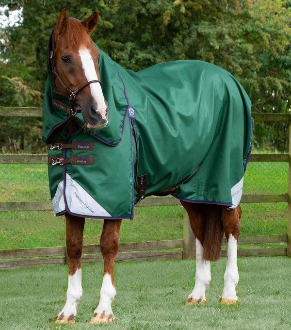 MARKED-Akoni 0g Turnout Rug with Classic Neck Cover