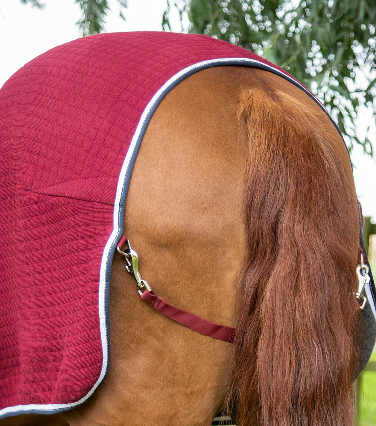 PremTex Cooler Rug – Premier Equine Int. Ltd.