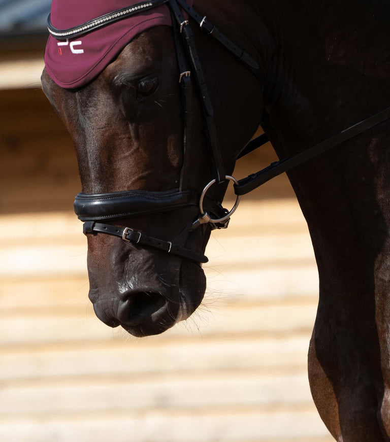 Stainless Steel Horse Bits - Premier Equine International