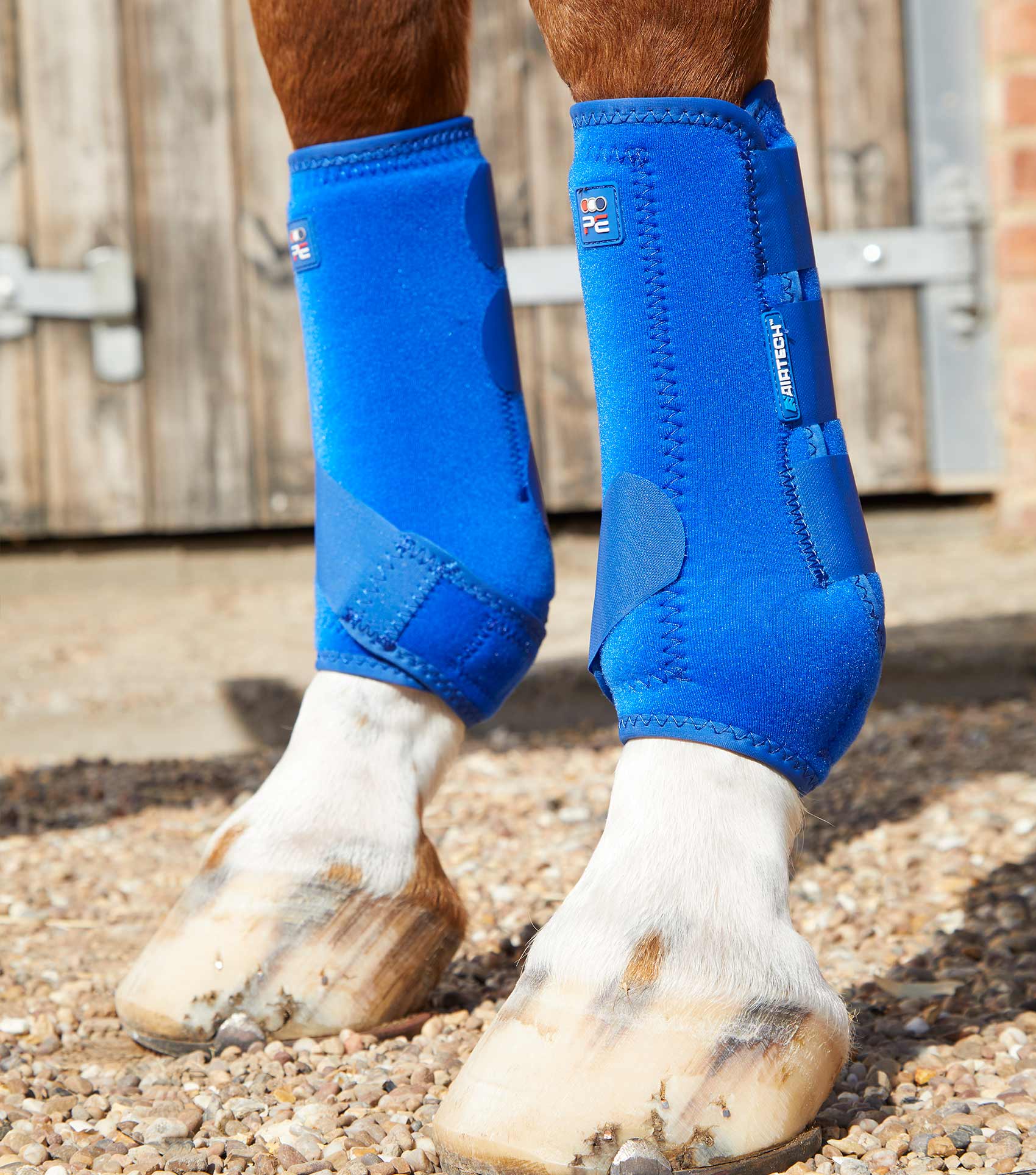 Sports medicine boots hot sale for horses