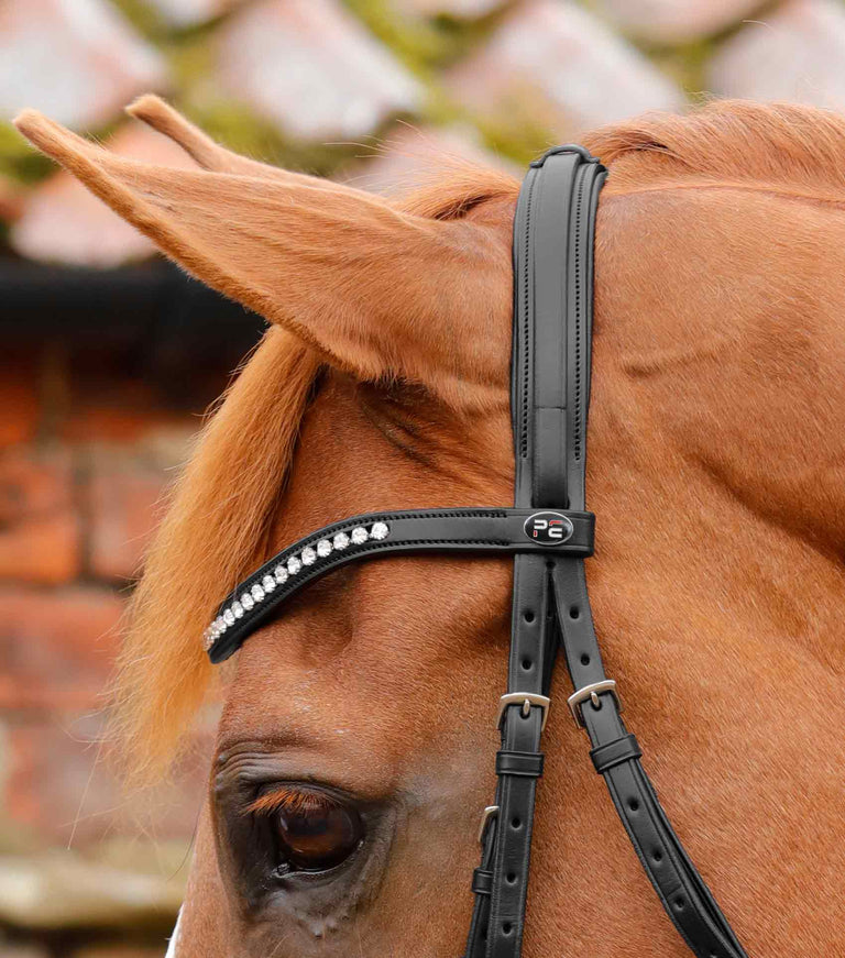 Bellissima Crank Bridle With Diamante Browband – Premier Equine Int. Ltd.