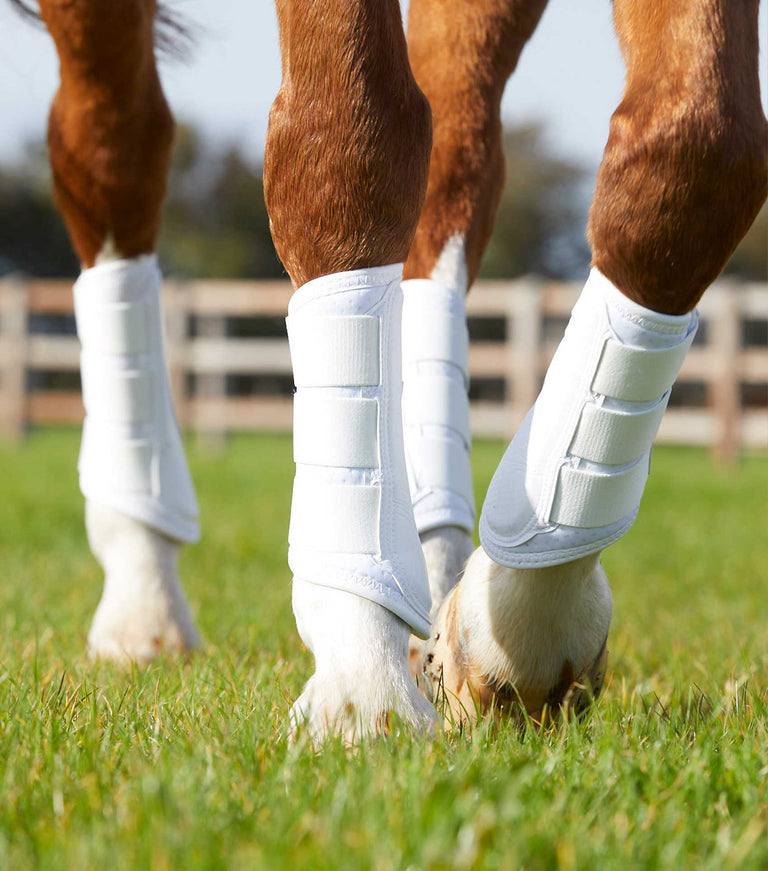 Dressage 2024 brushing boots