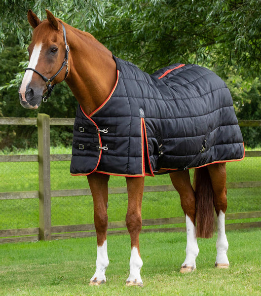 Detachable Horse Leg Straps – Premier Equine Int. Ltd.