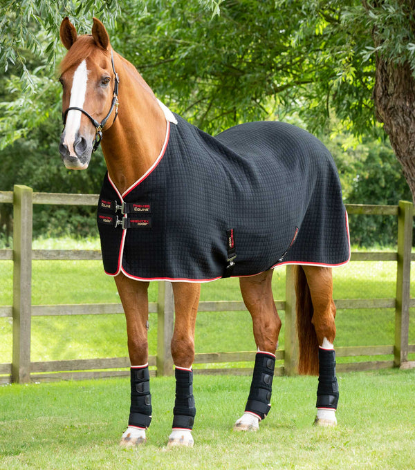 MARKED - PremTex Horse Cooler Rug