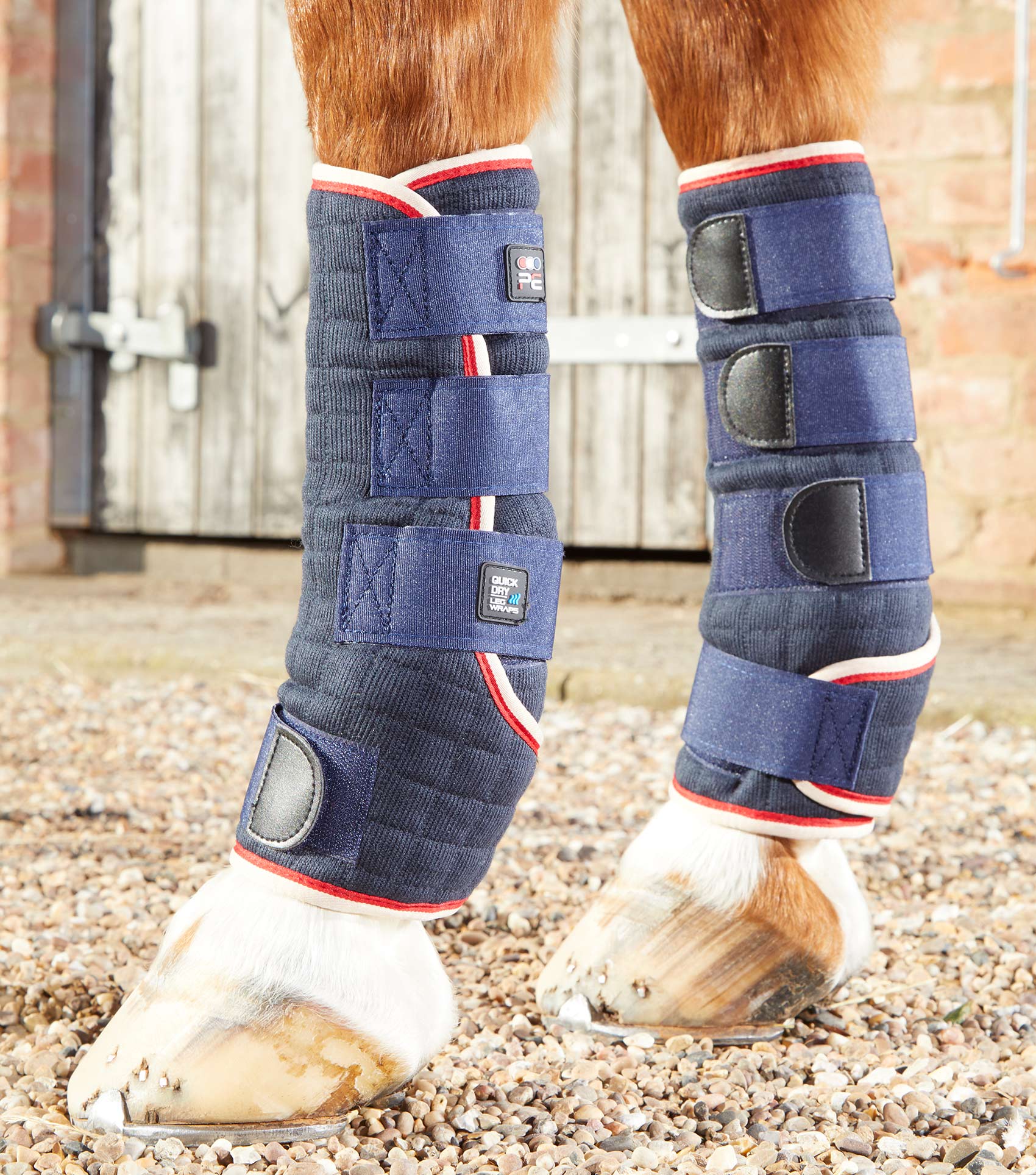 Quick Dry Horse Leg Wraps – Premier Equine Int. Ltd.