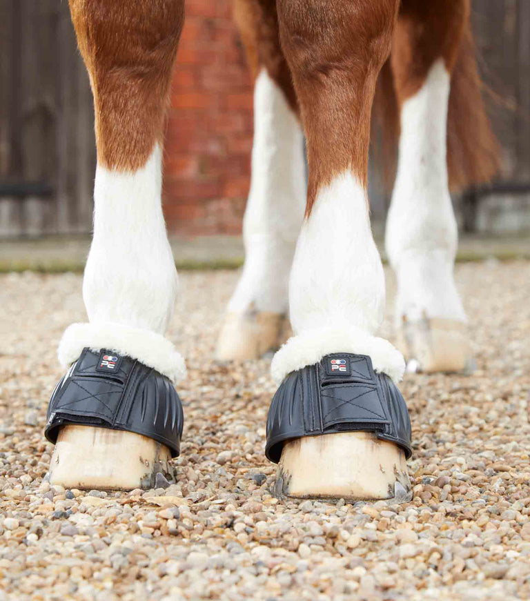 Equine bell clearance boots